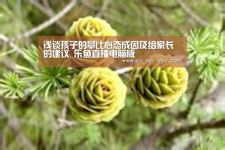 浅谈孩子的攀比心态成因及给家长的建议_乐鱼直播电脑版(图1) 乐鱼体育直播官网